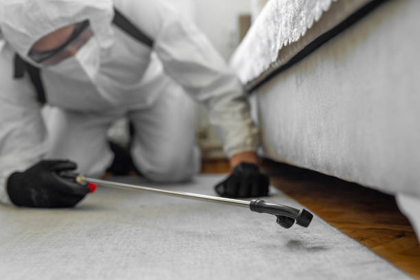 Professional Pest Control technician working in Helena Valley Southeast, MT